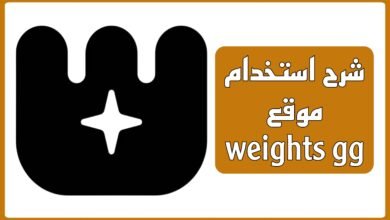 شرح استخدام موقع weights gg (دليل تفصيلي)